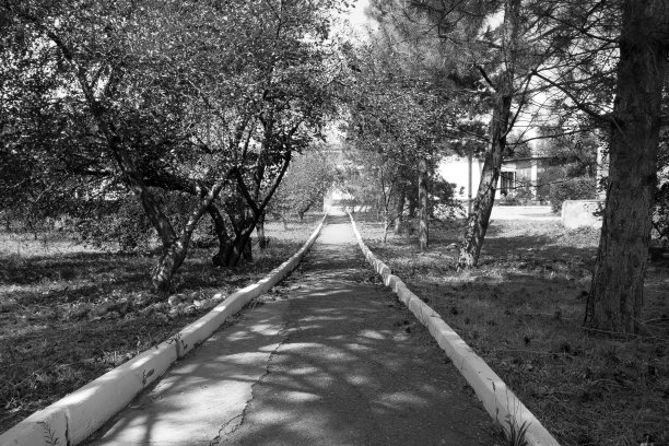 国家的小巷图片下载