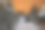 晚上松林图片下载