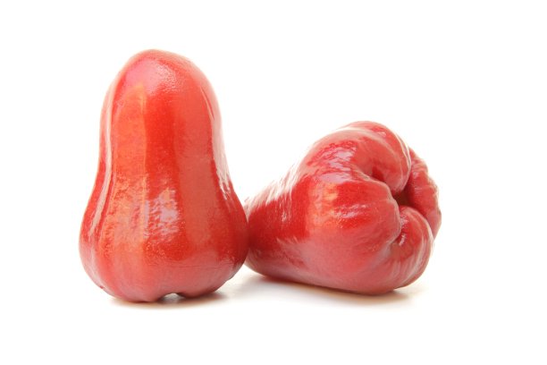 玫瑰苹果图片下载