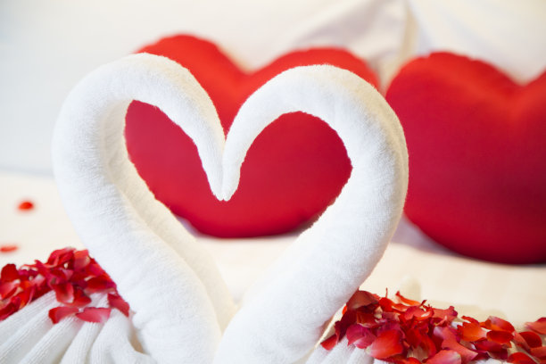 天鹅夫妇美丽浪漫的酒店套房图片下载