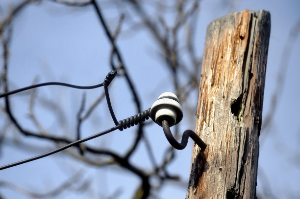 木制电线杆图片下载