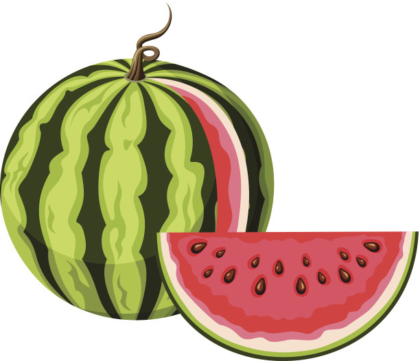 西瓜切片。矢量插图。素材图片