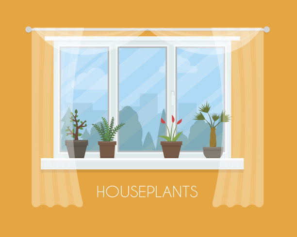 带窗帘的窗上花盆里的室内植物图片下载