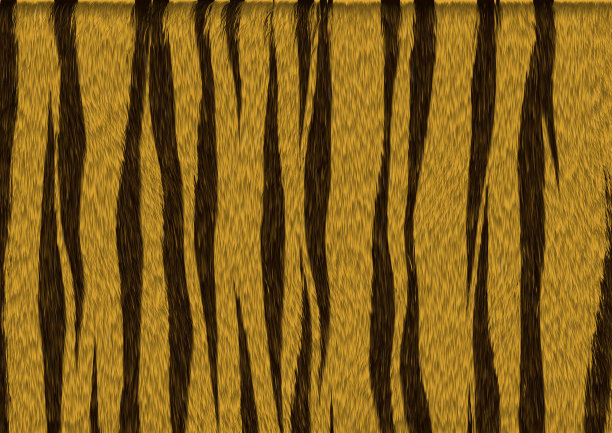 虎皮质地图片下载