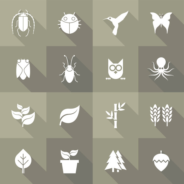 矢量平面图标设置-植物群和动物群图片下载