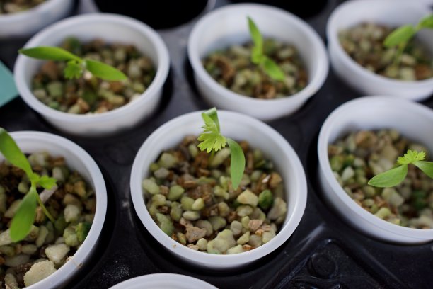 雪铁龙开始图片下载