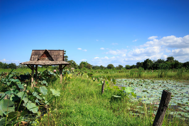 老馆泰国图片下载