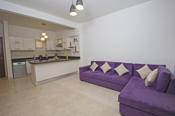 豪华公寓内饰图片下载