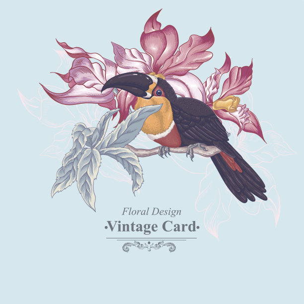 带有异国情调的花和巨嘴鸟的花向量复古卡片图片下载