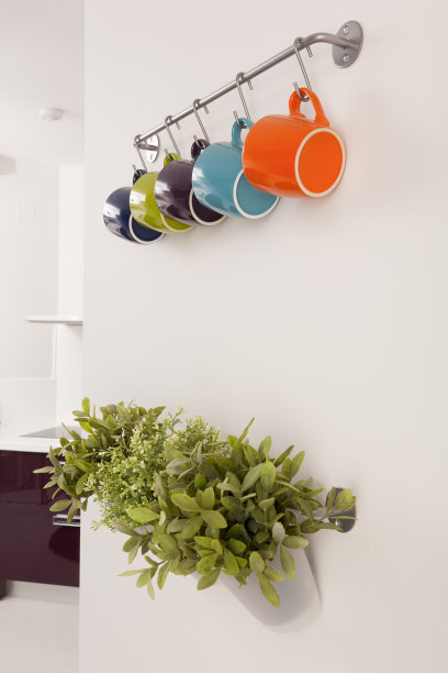 咖啡杯和香草图片下载