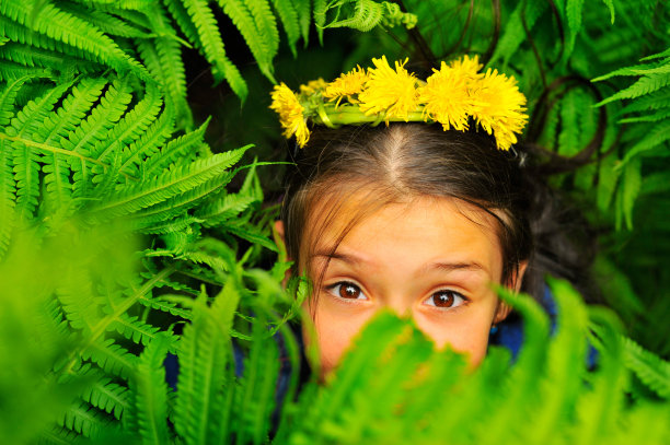 女孩在蕨类植物图片下载