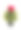 植物红心枕图片下载