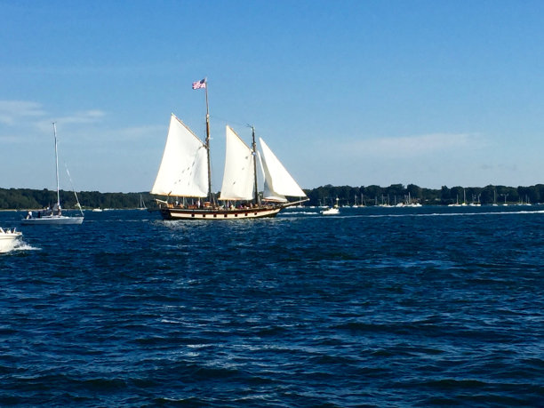 在海湾中航行图片下载