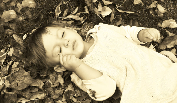 睡美人图片下载