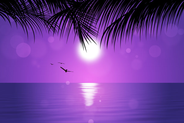 热带粉红色的日落图片下载