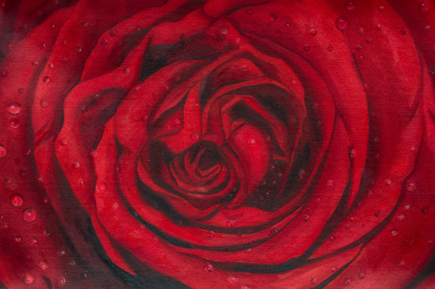 绘画玫瑰花图片下载