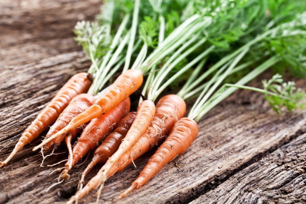 胡萝卜用树叶图片下载