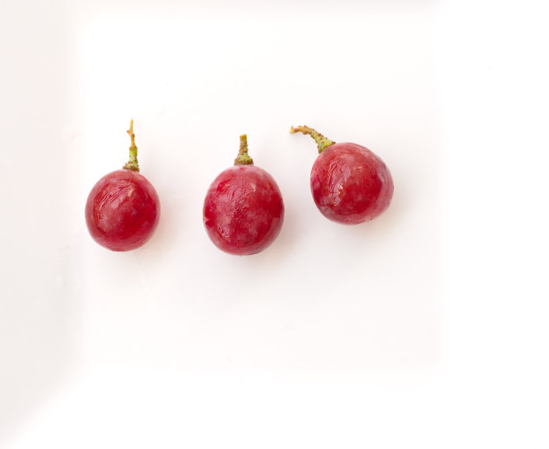 孤立红葡萄果实图片下载