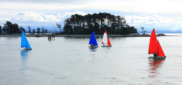 纳尔逊帆船赛全景图片下载