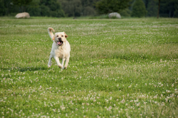 运行在现场图片下载