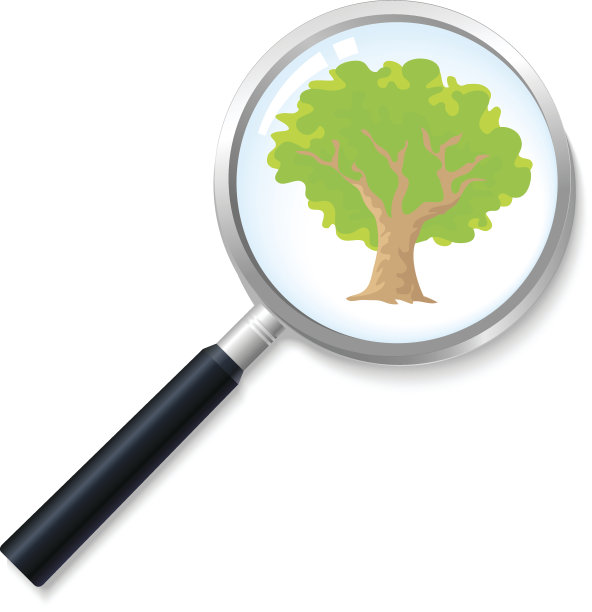 失去了树图片下载