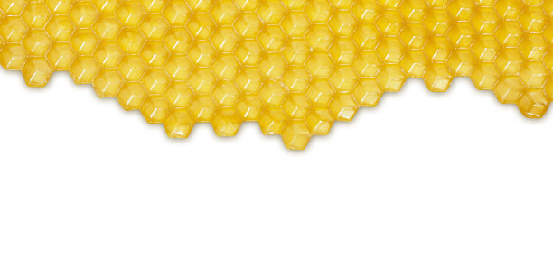 蜂巢孤立在白色背景上图片下载