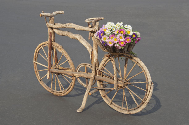 木花的自行车图片下载