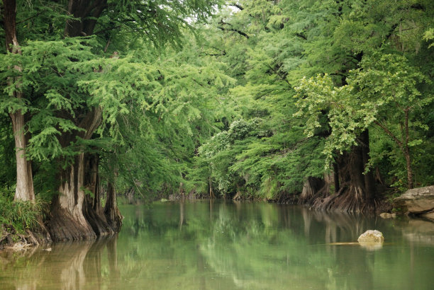 平静的河流图片下载