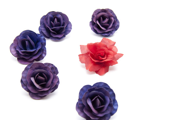 玫瑰花朵图片下载