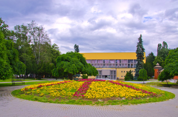 设有步道的公园图片下载