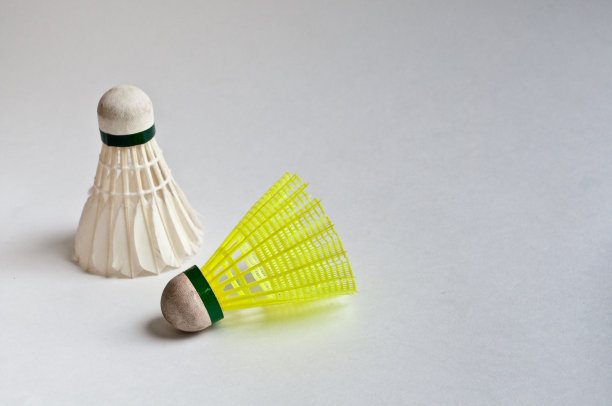 两只沃兰在白色背景上打羽毛球。图片下载