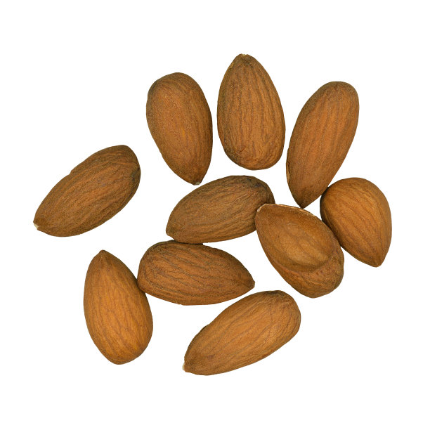 杏仁的白色图片下载