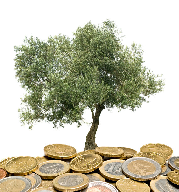 从一堆硬币中长出来的橄榄树图片下载