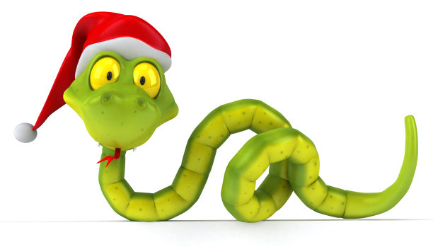 有趣的蛇图片下载