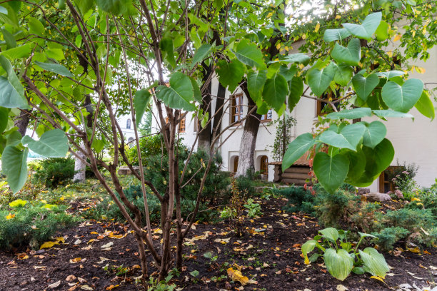 Zachatievskiy修道院。图片下载