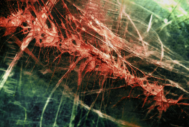 抽象的鱼骨图片下载