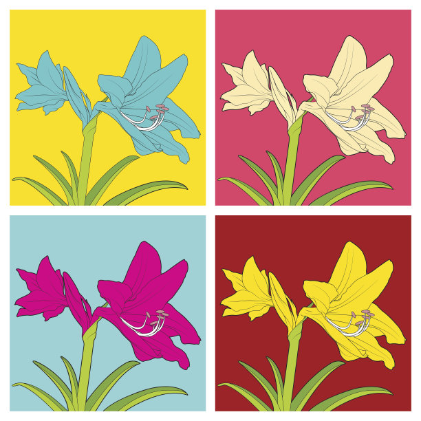 七彩花。矢量插图。图片下载