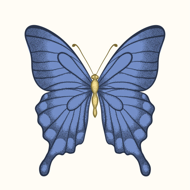 美丽的蝴蝶在柔和的颜色在图形风格素材图片