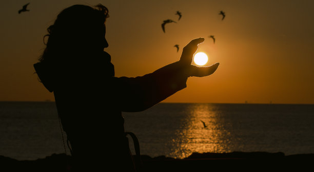 海鸥与日落图片下载