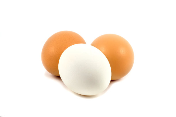 卵孤立在白色背景上图片下载