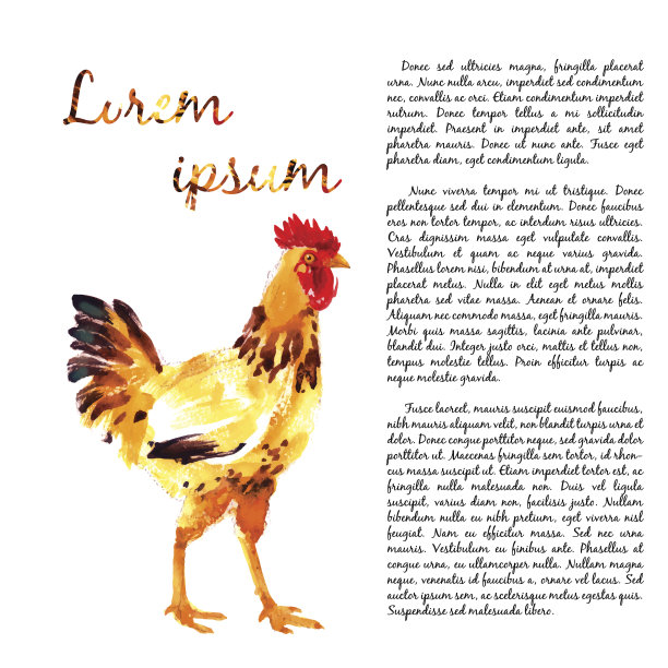 设计模板与水彩母鸡图片下载