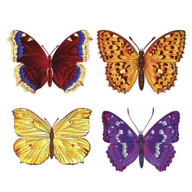 蝴蝶各种矢量图片下载