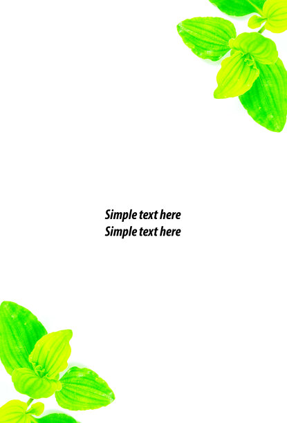 分离叶背景图片下载