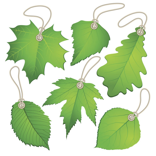 挂着带有绿叶的矢量标签图片下载