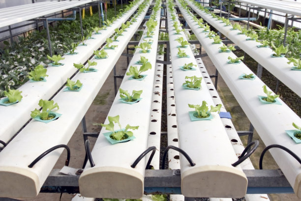 水培农场图片下载