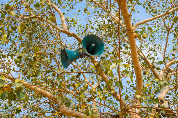 树上的扬声器图片下载