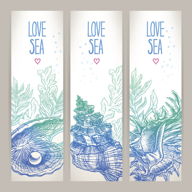 三个贝壳banner图片下载