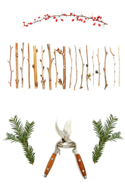 修剪的概念图片下载