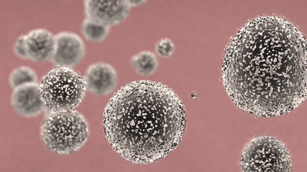 白球白细胞图片下载