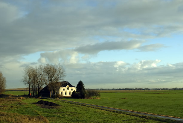 农场附近的格罗宁根图片下载